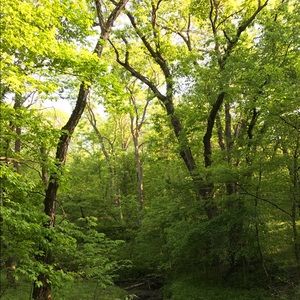 Meet your Posher, Chanelle