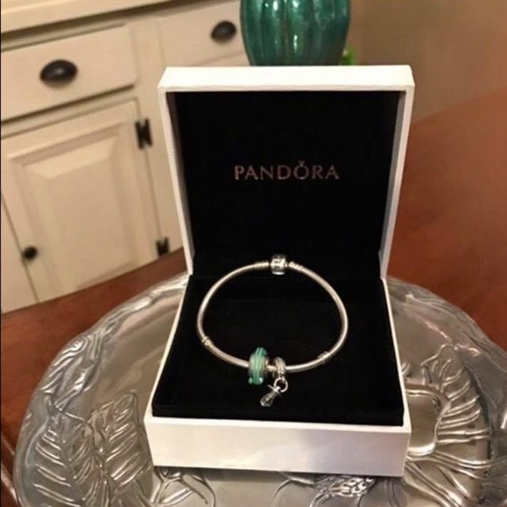 🚫SOLD🚫🎀🐬Pandora bracelet🐬🎀