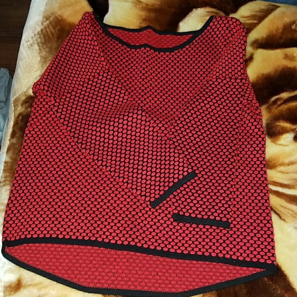 Express black and red sweater