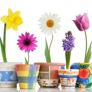 Meet your Posher, Janice