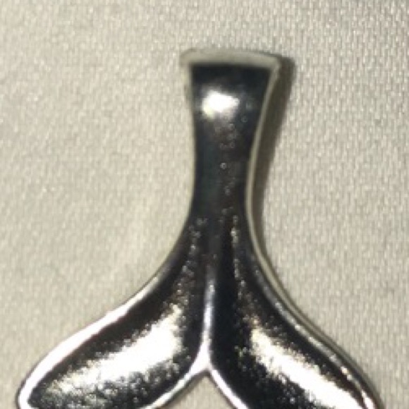 Meet your Posher, Abby - Picture 1 of 1