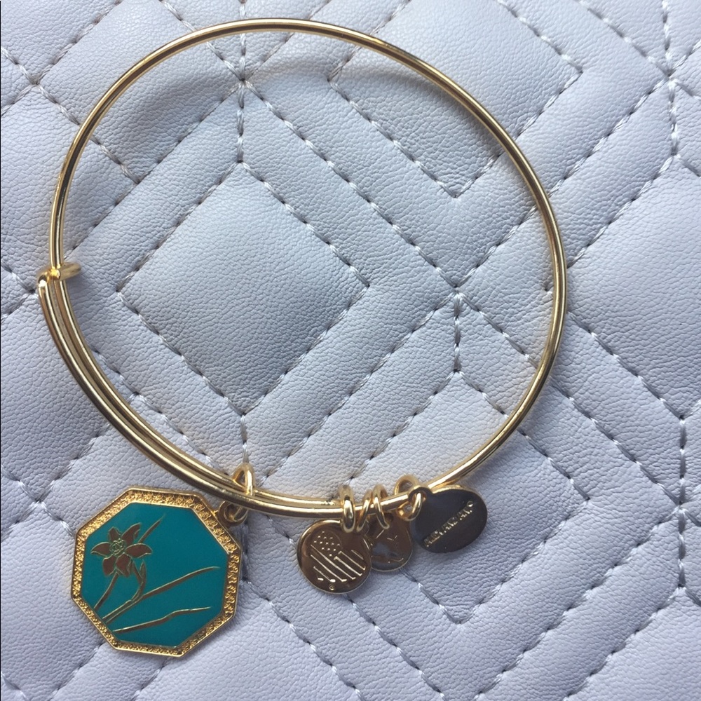 Alex and ani bracelet
