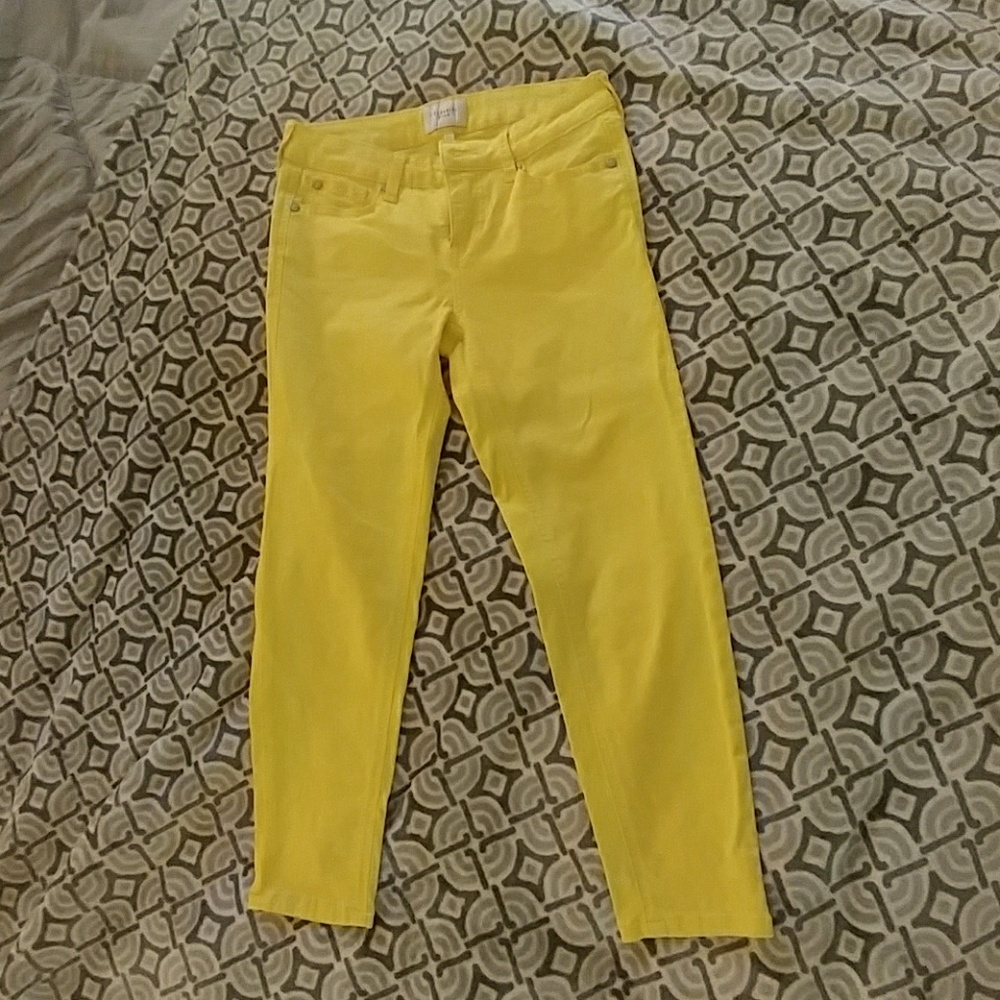 Celebrity Pink Crop pants