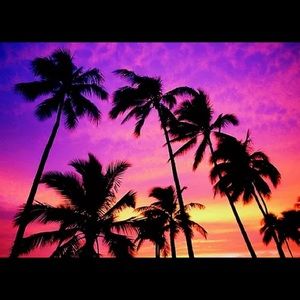 Meet your Posher, Cindylou