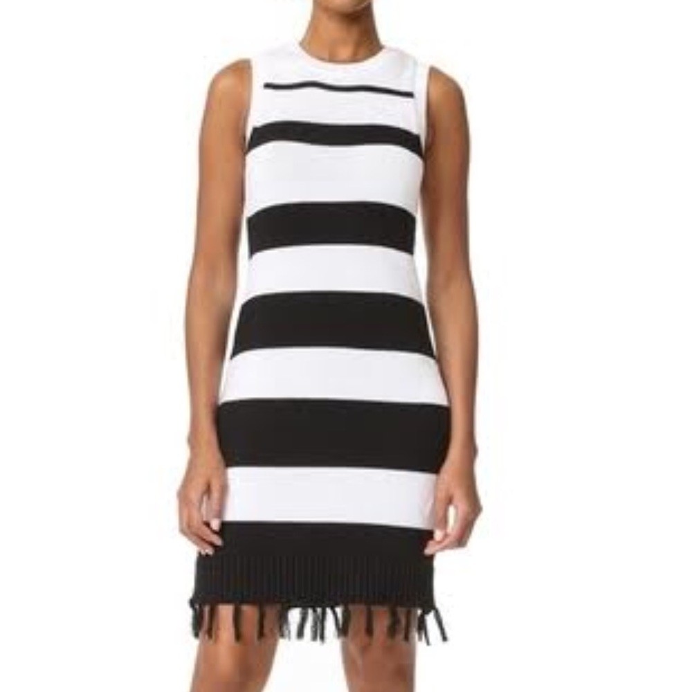 Dri Stripe Sweater Dress (new/unworn)