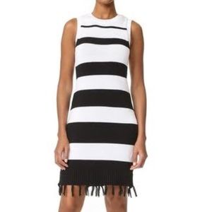 Dri Stripe Sweater Dress (new/unworn)