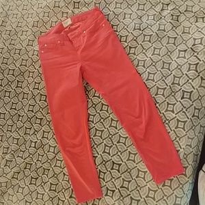 Celebriy Pink Crop Pant