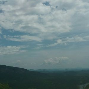 Meet your Posher, Pedro