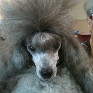 Meet your Posher, Margaret