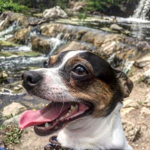 Meet your Posher, Andy