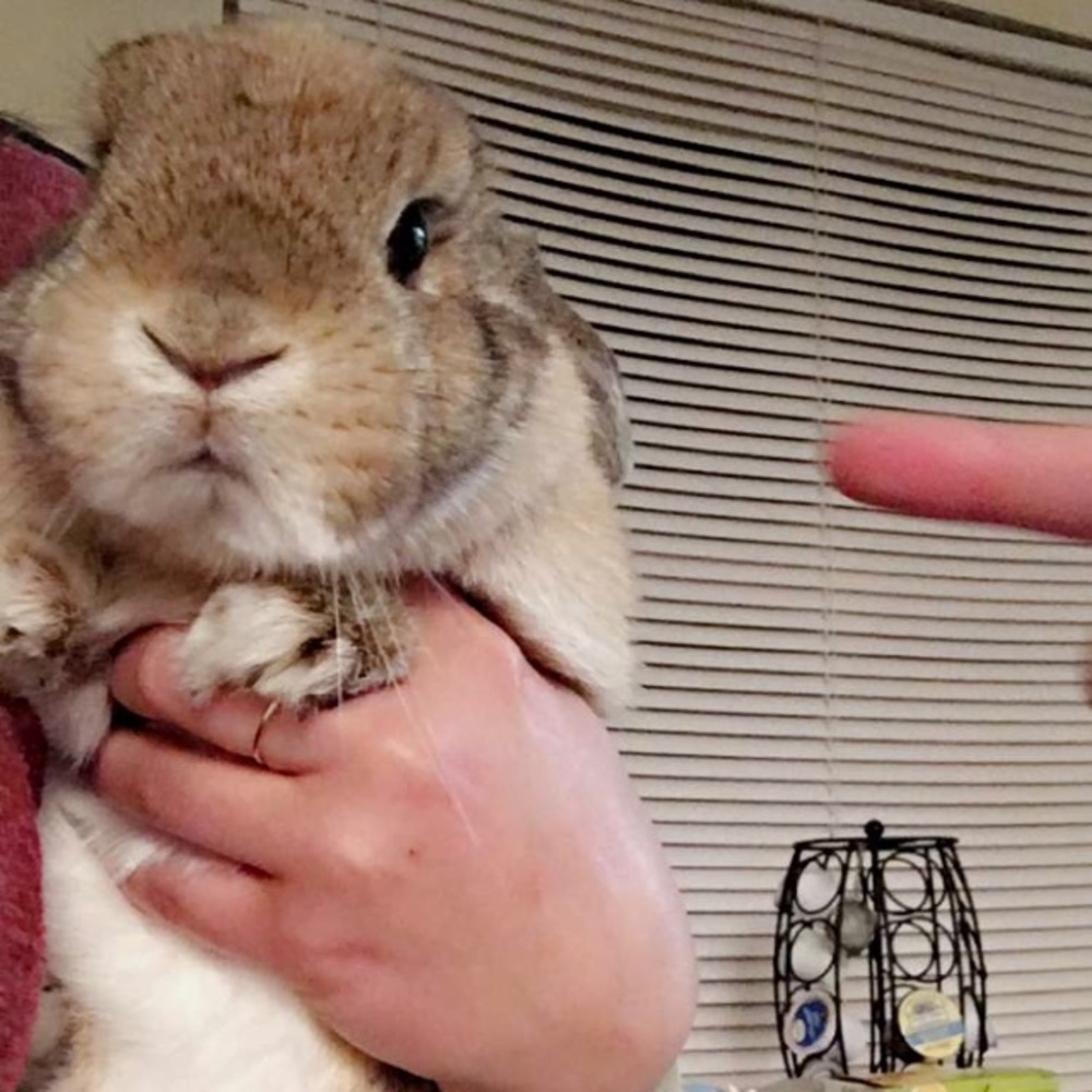 Try me! I take offers 😊