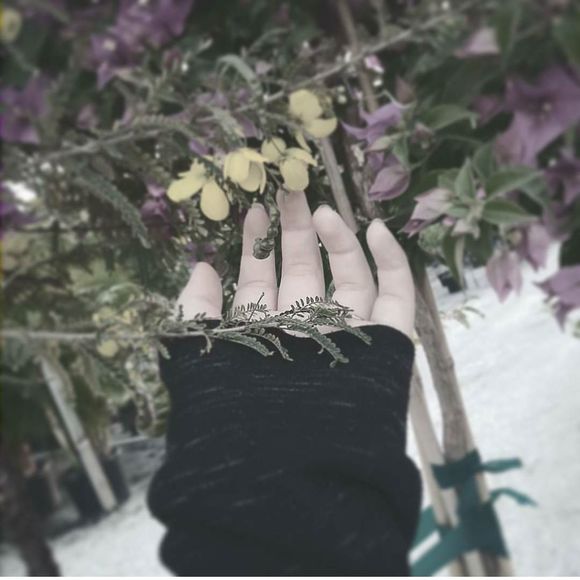 Meet your Posher, Charity - Picture 1 of 1