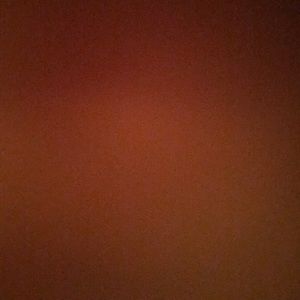 Meet your Posher, Terriel