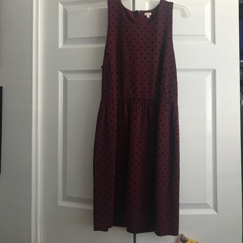J. Crew dress