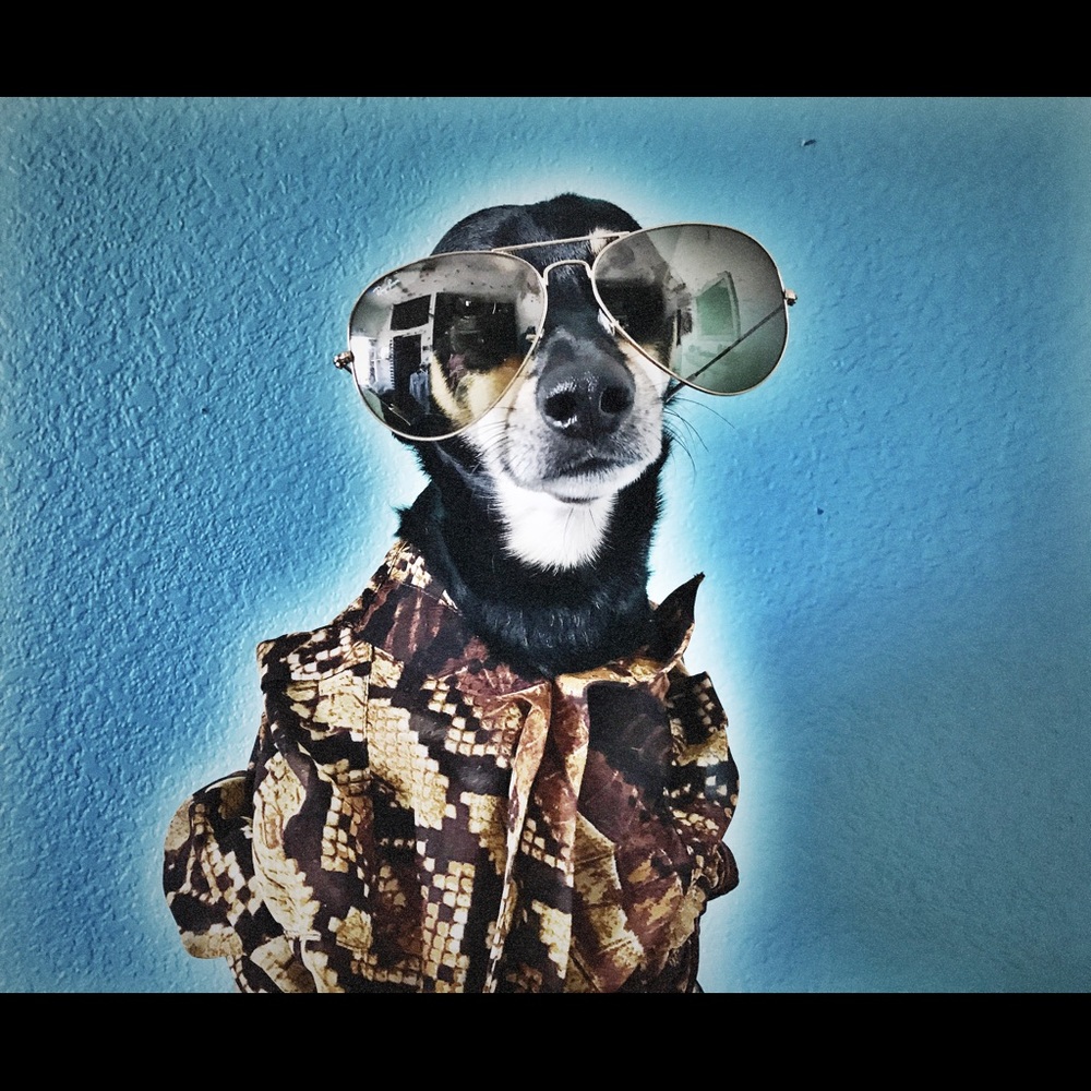 Meet your Posher, The Duke