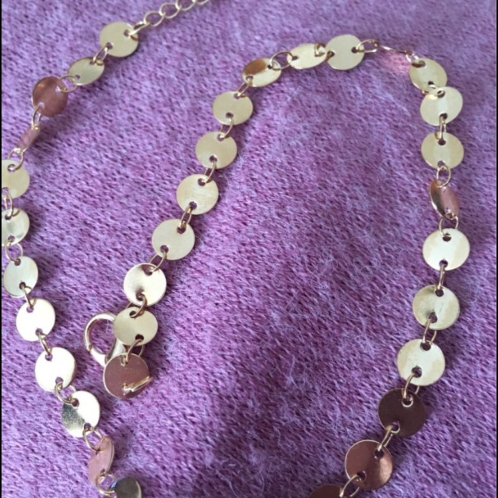 Gold or Silver Coin Disc Choker - Picture 3 of 4