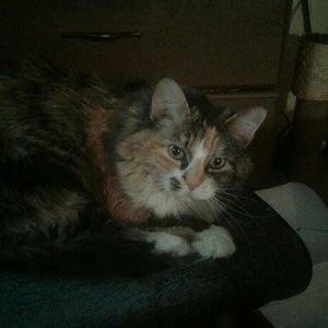 Meet your Posher, Cindy