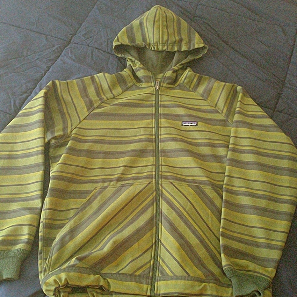 Patagonia Softshell hoodie