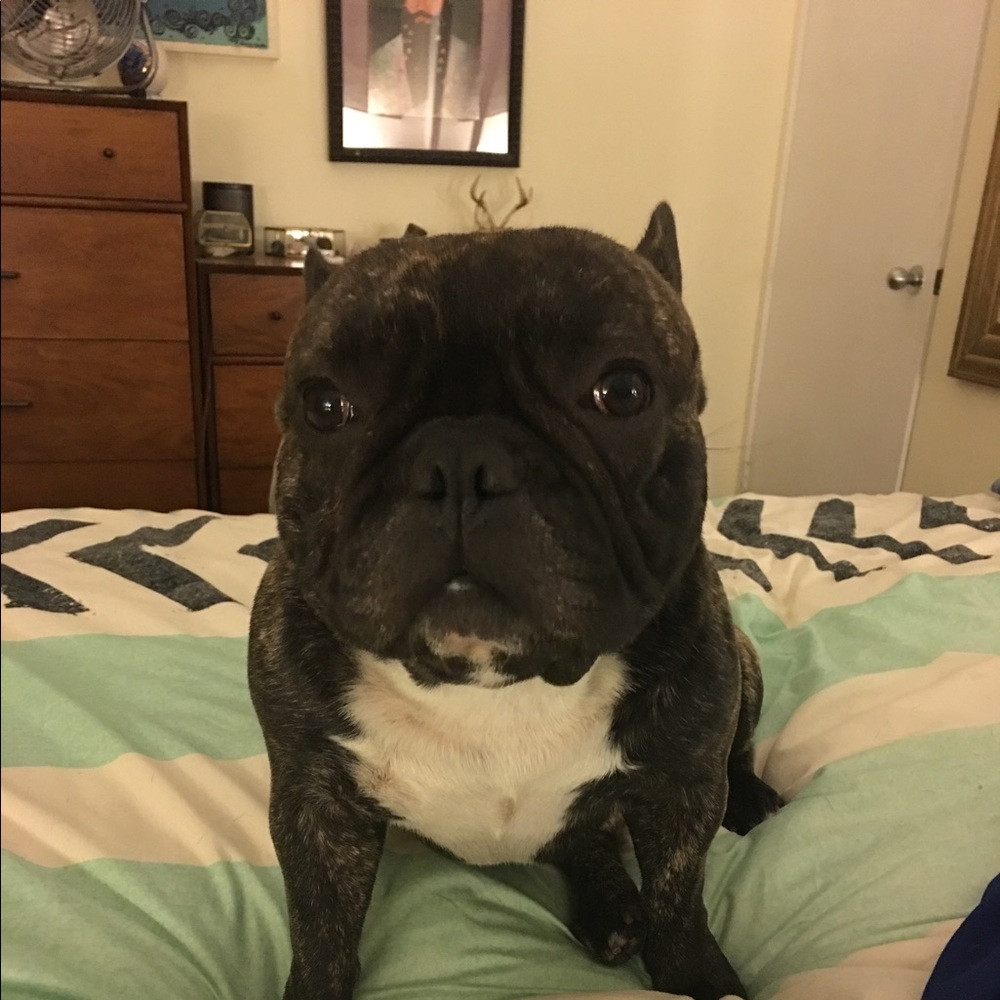 Meet your Posher, Jennifer