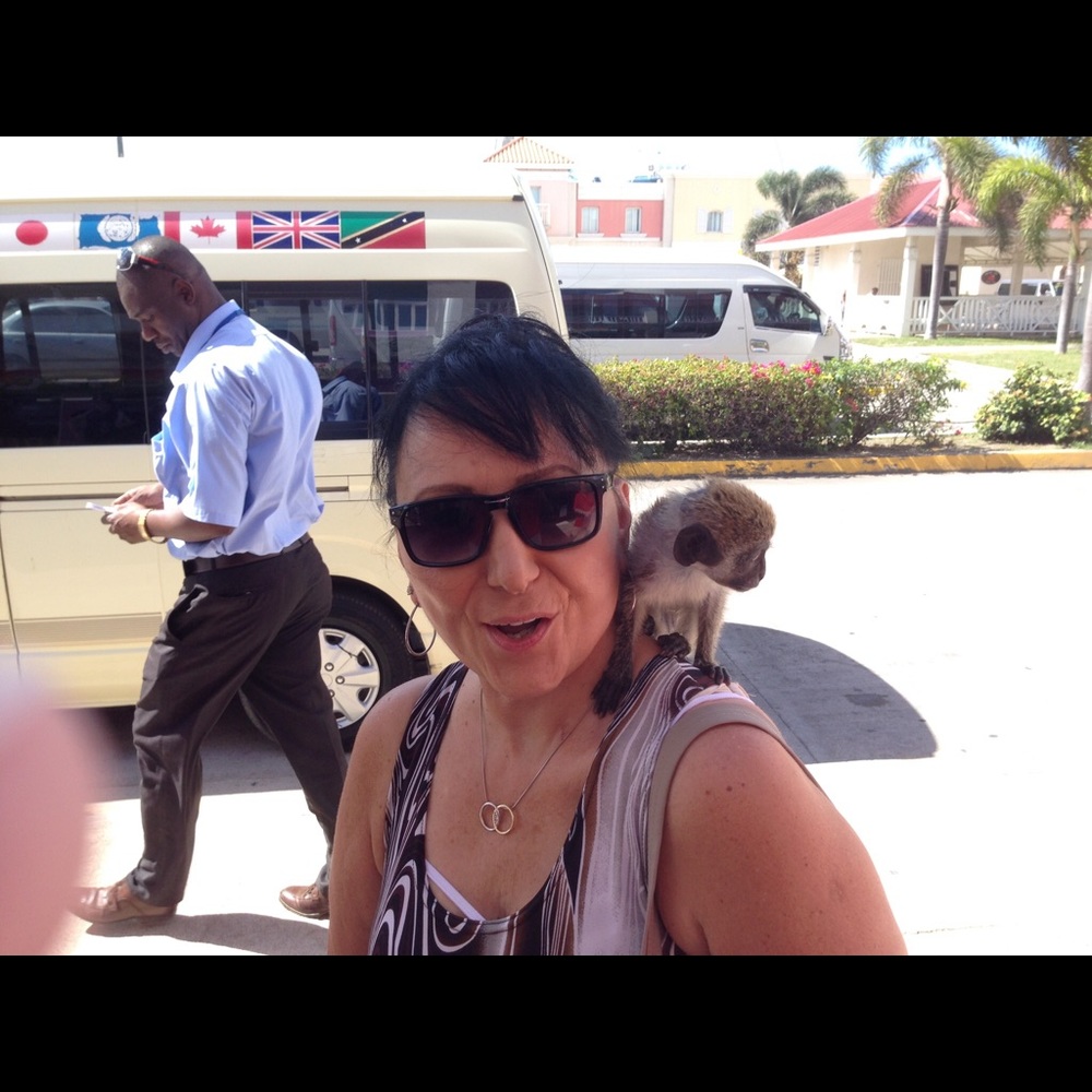 Meet your Posher, Barbara