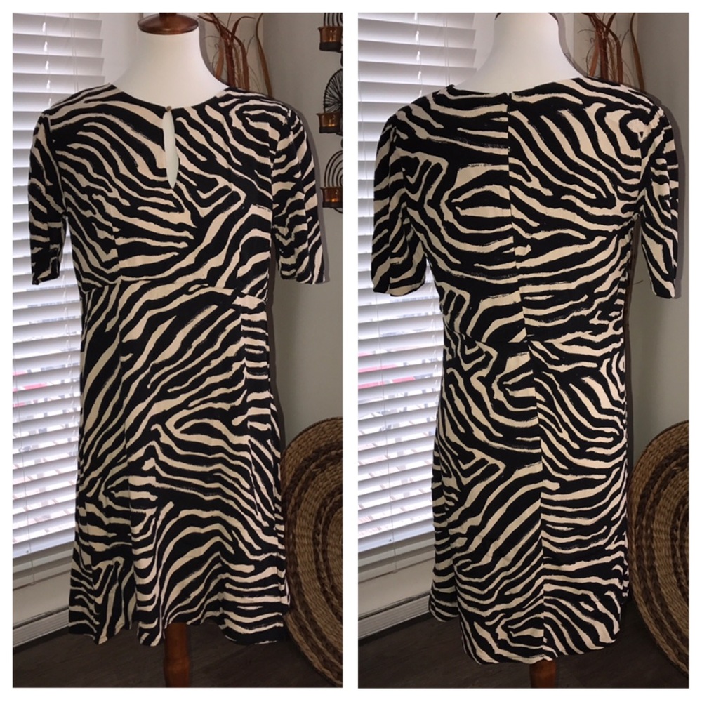 NEW H&M Zebra Striped Dress