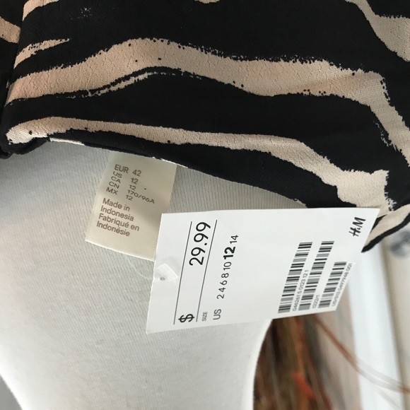 NEW H&M Zebra Striped Dress - Picture 5 of 6