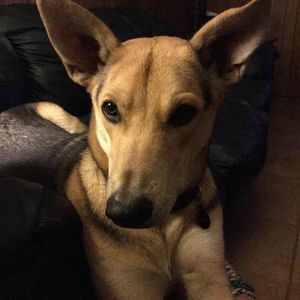 Meet your Posher, Paula