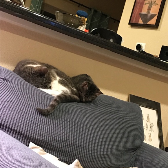 Meet your Posher, Lyndsie - Picture 3 of 3