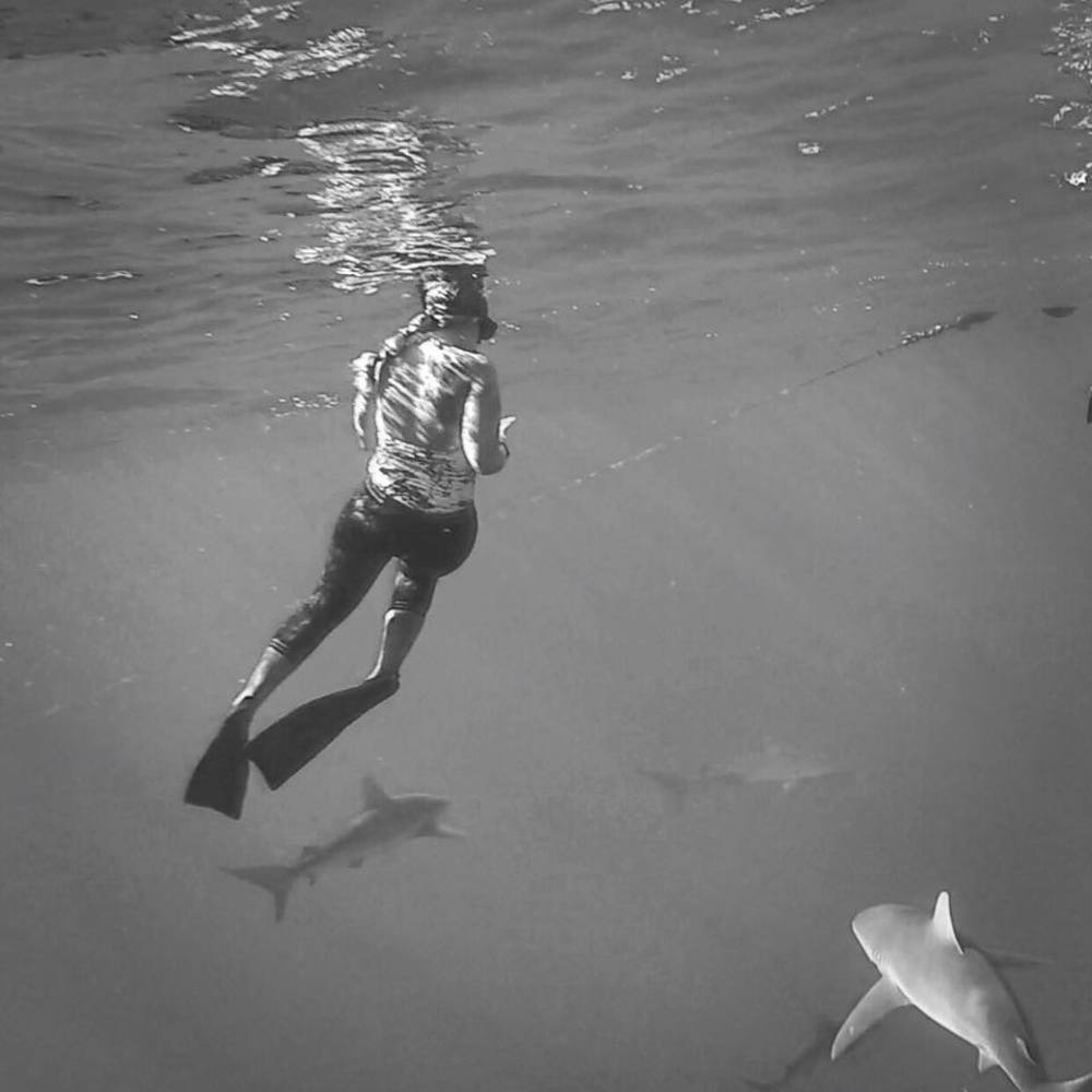 Meet your Posher, Mary