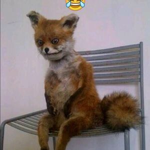 Meet your Posher, Latoya