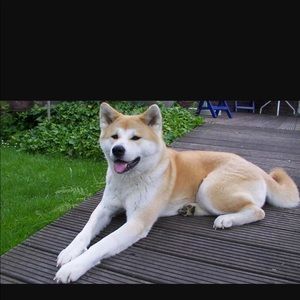 Meet your Posher, Gary