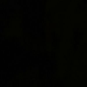 Meet your Posher, Maya