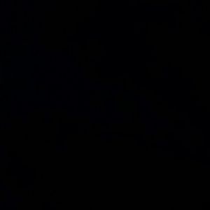 Meet your Posher, Talisa