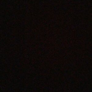 Meet your Posher, Tamara