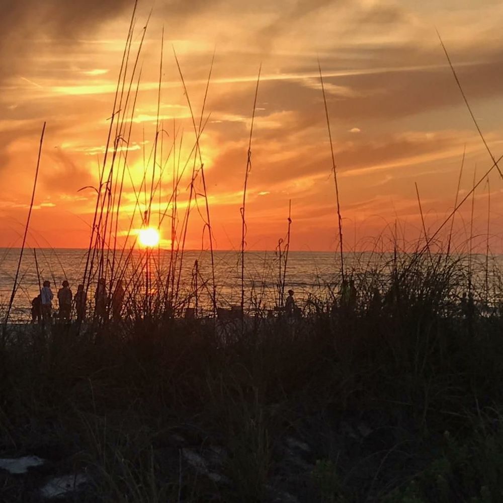 Meet your Posher, Marsha