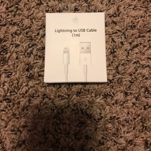 Authentic Apple Lightning to USB Cable (1m)