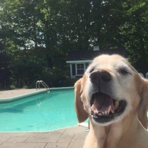 Meet your Posher, Jared