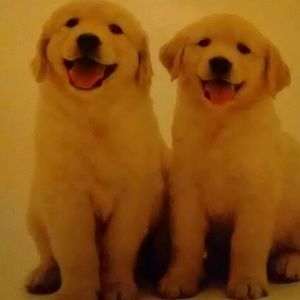 Meet your Posher, Lorena