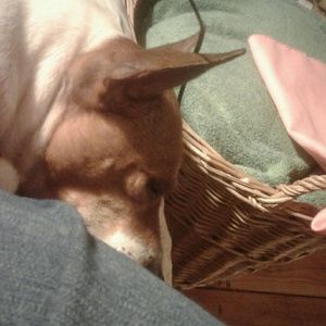 Meet your Posher, Margaret