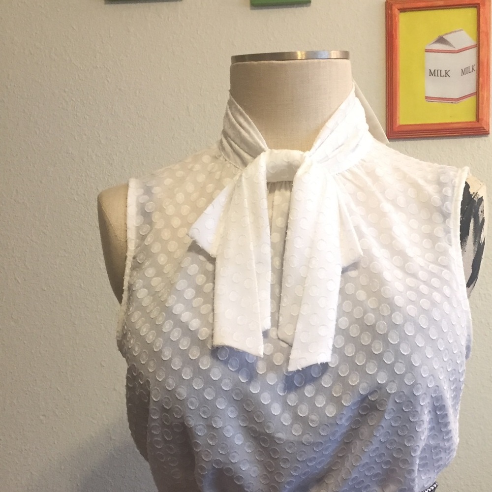 H&M White Sheer Polka Dotted Blouse 🦄