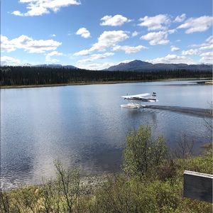 Meet your Posher, Wille