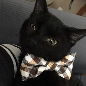 Meet your Posher, Robin