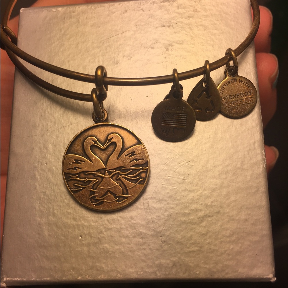 Alex and Ani +energy bronze bangle