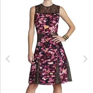 Agnese Printed Lace Dress