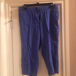 Bright Blue Capris - Size 18W