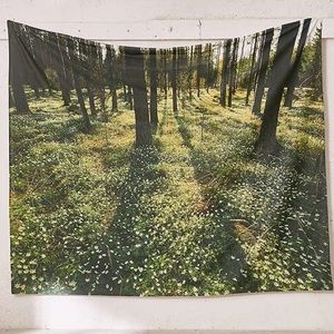 Urban Outfitter's Moonbeam Tapestry