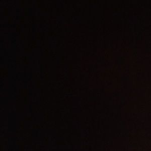 Meet your Posher, Dane