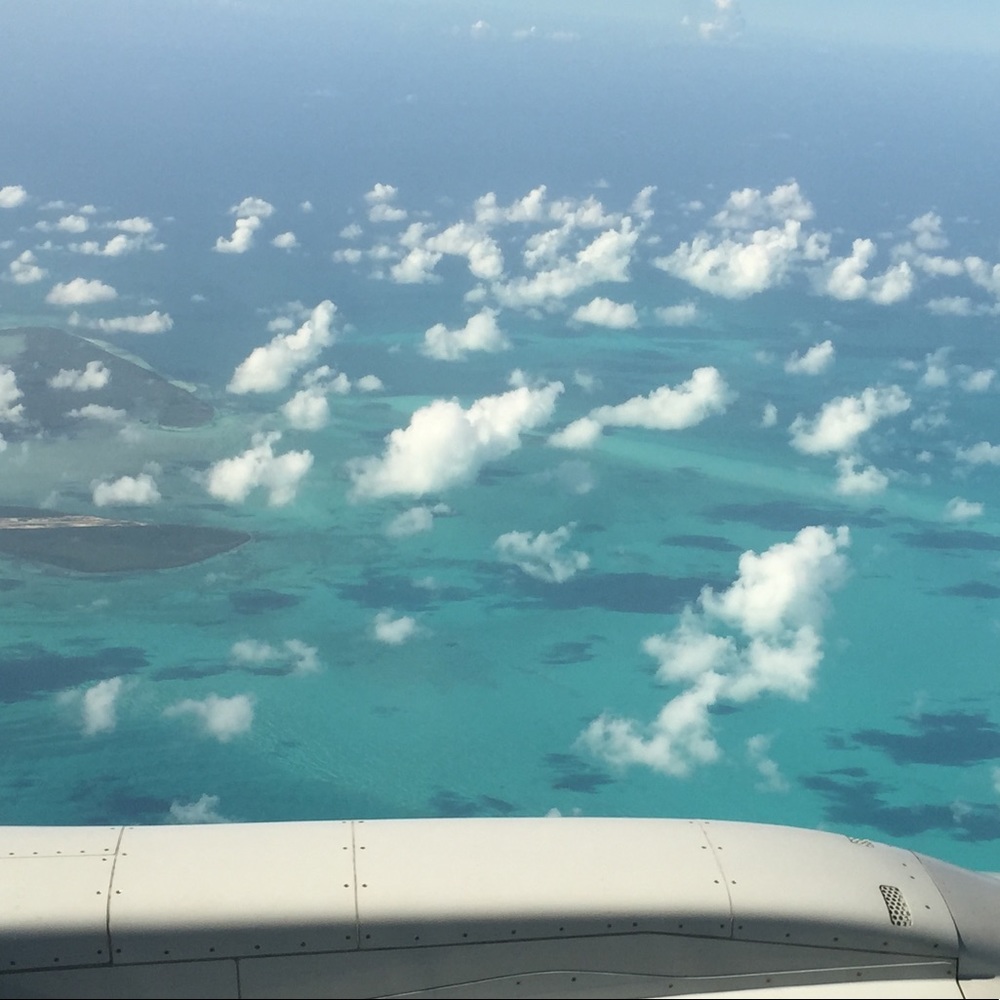 Meet your Posher, Liza