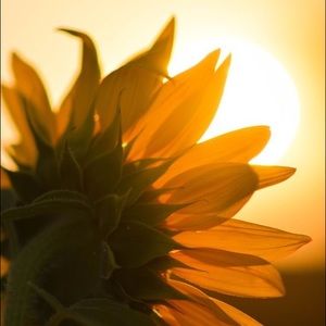 Meet your Posher, Jami