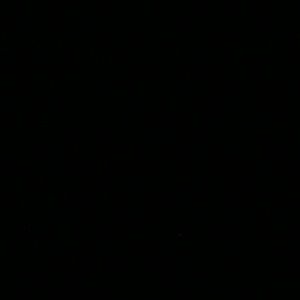 Meet your Posher, Terrence